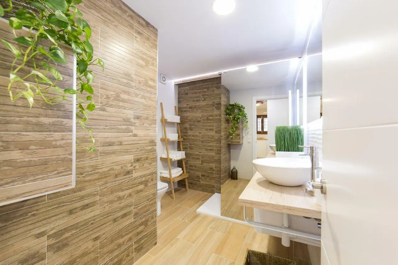 Apartamentos Deanes 5 Cordoba 0*,  Spain
